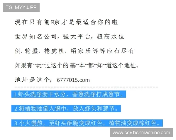 全面解析K发娱乐K8的安全保障措施确保玩家资金与信息安全的实用指南