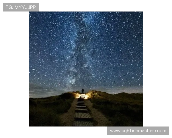 星空娱乐登录地址常见问题解答帮助玩家轻松应对登录困难